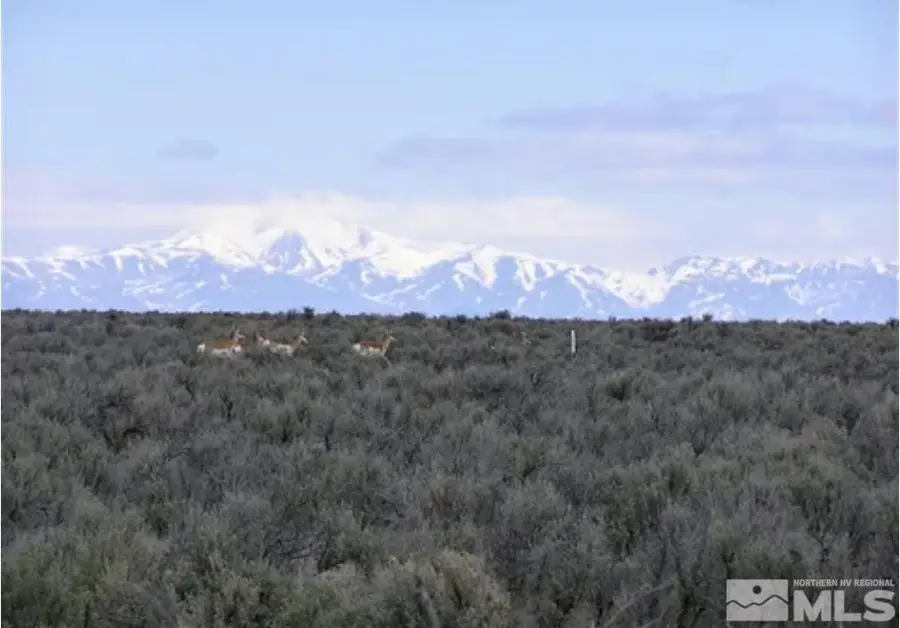 06068114 Near Dutch, Winnemucca, NV 89445 - #2