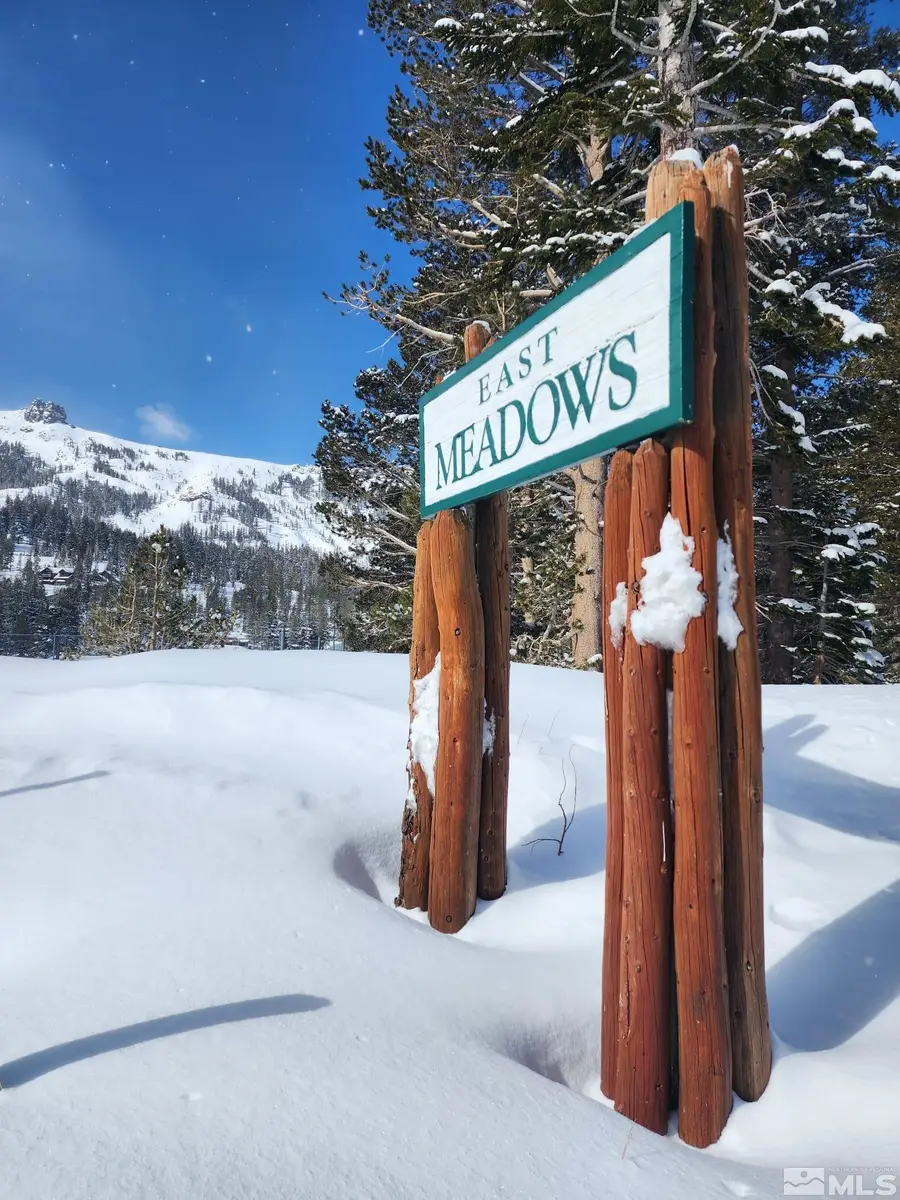 529 E Meadows Drive, Kirkwood, CA 95646 - Image #2