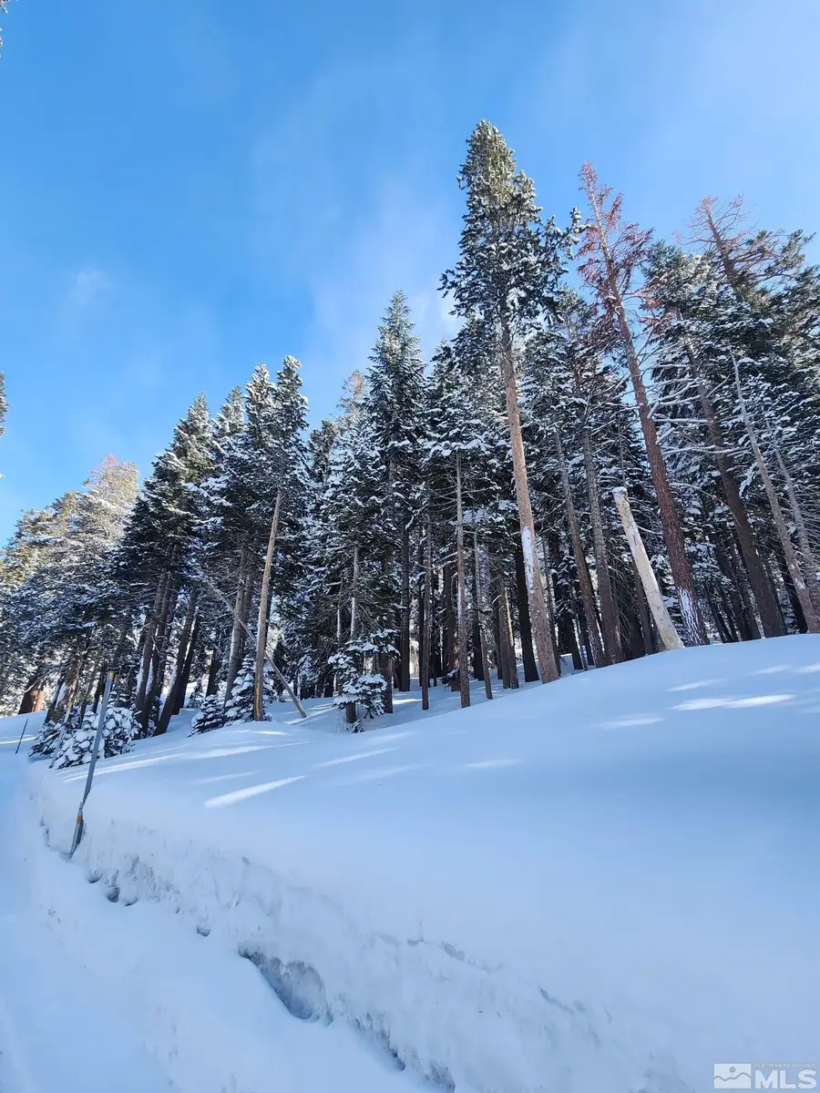 529 E Meadows Drive, Kirkwood, CA 95646 - Image #3