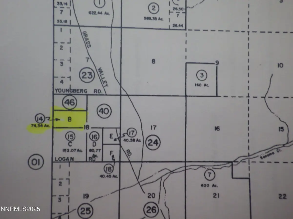 0 Ruiz Rd #009-220-14, Grass Valley, NV 89445 - Image #1