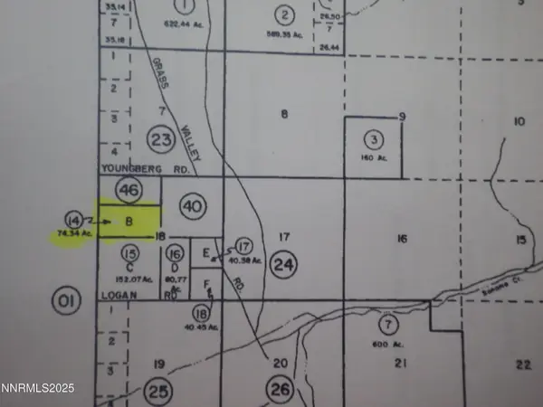 0 Ruiz Rd #009-220-14, Grass Valley, NV 89445