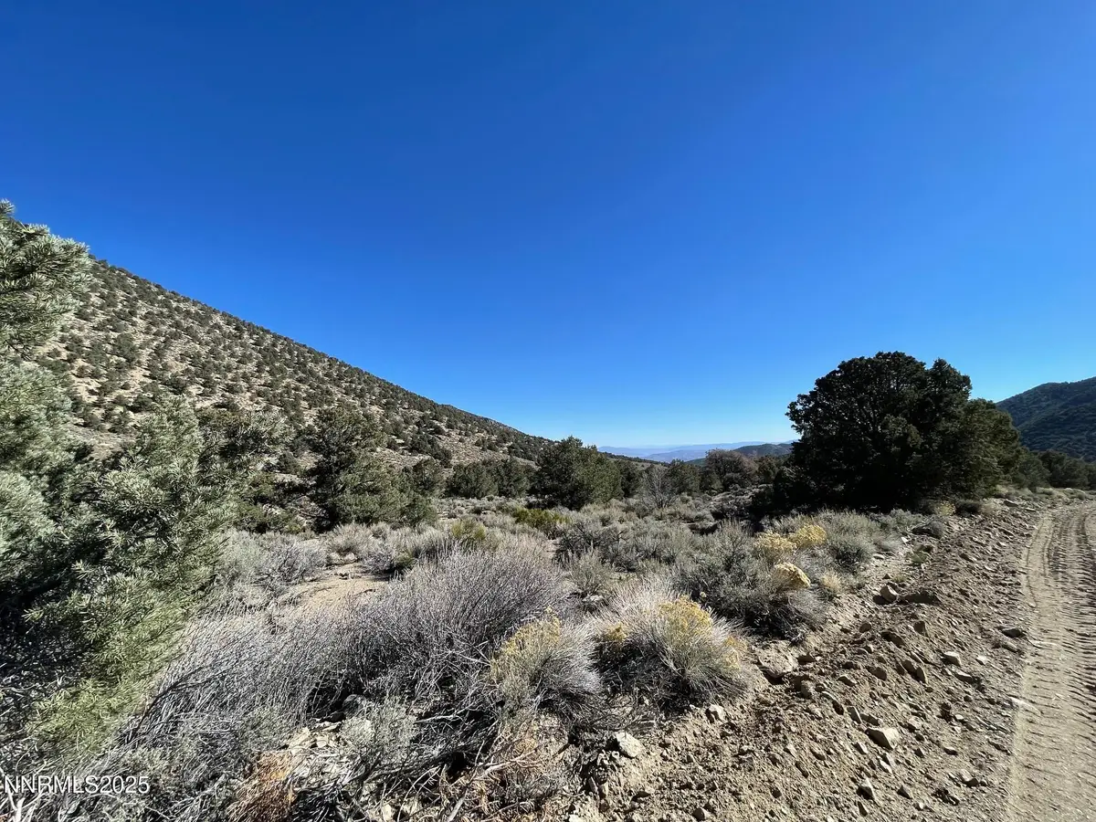 tbd Lucky Boy Pass, Hawthorne, NV 89415 - Image #1