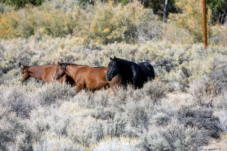 1088 Mccarran Ranch Road, Sparks, NV 89434 - Image #3