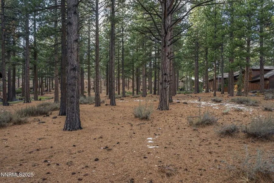 1385 Austrian Pine Road, Reno, NV 89511 - Image #3