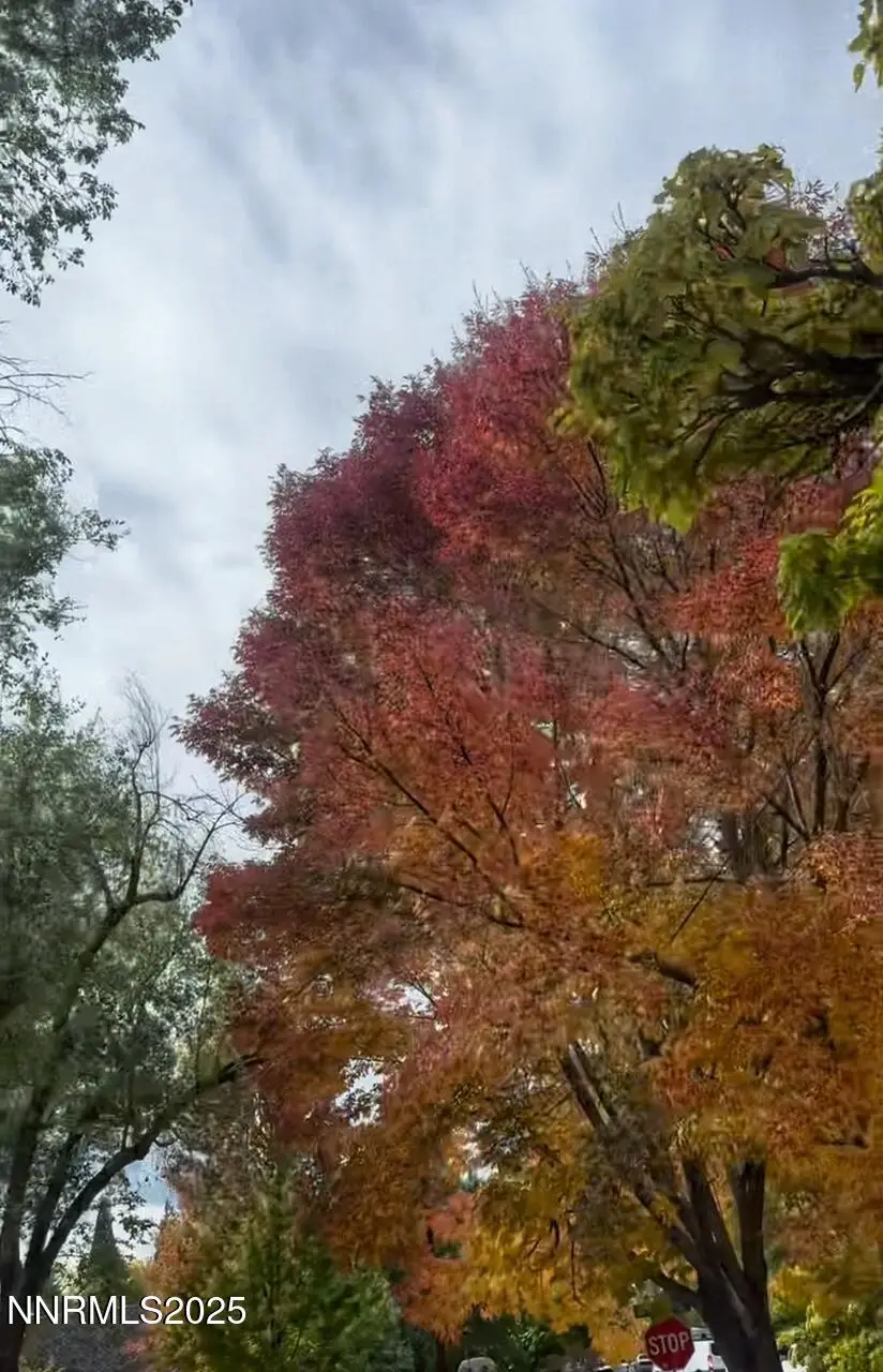 611 & 611A Nixon Avenue, Reno, NV 89509 - Image #2