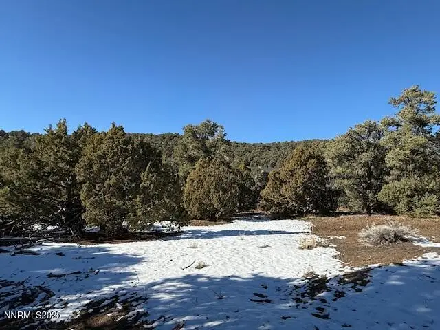 1410 Scorpion Road, Reno, NV 89521 - Image #3