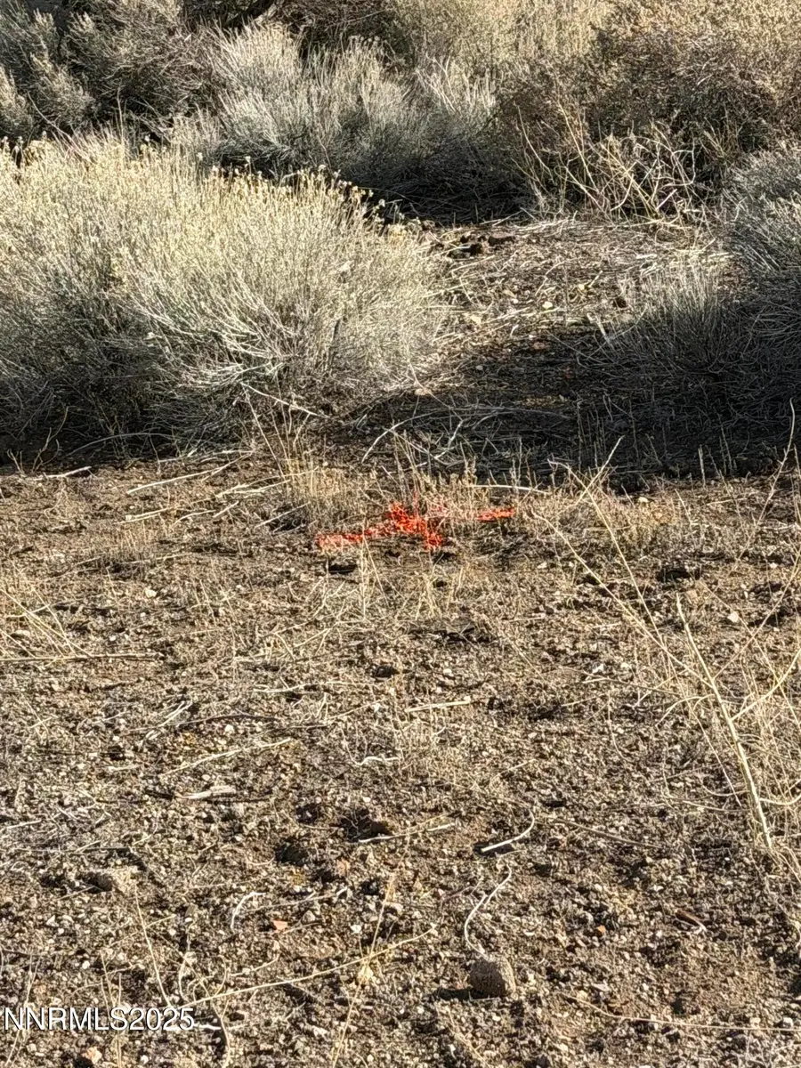 206 First Street #11 & 12, Goldfield, NV 89013 - Image #2