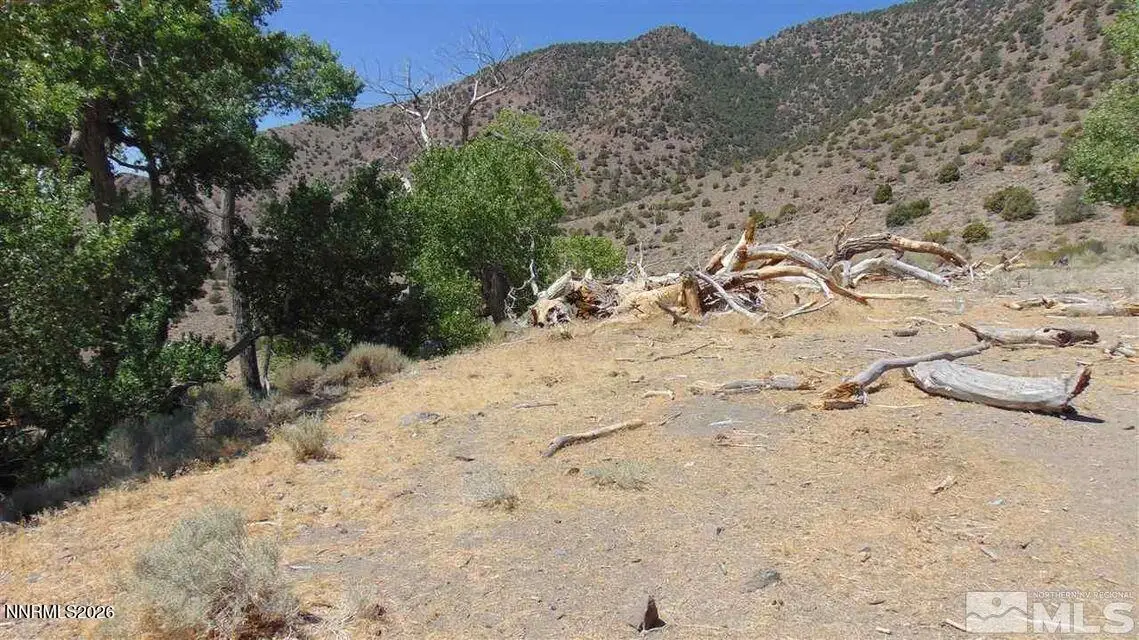 00429110 Sutro Springs Road, Dayton, NV 89403 - #1