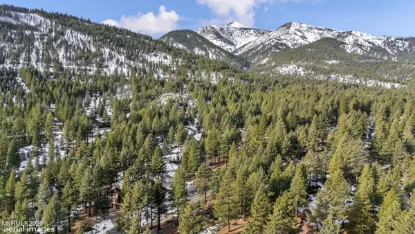 307 E Jeffrey Pine Road, Reno, NV 89511