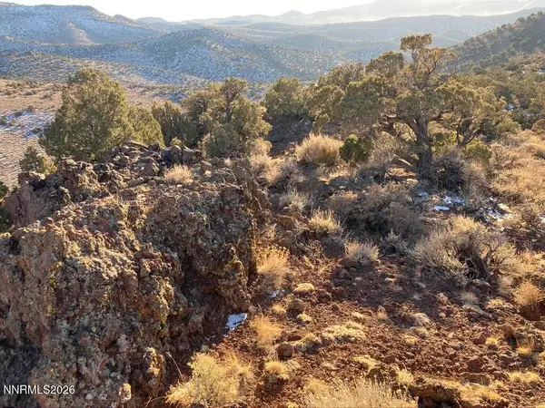 00 Microwave Road #2, Reno, NV 89510