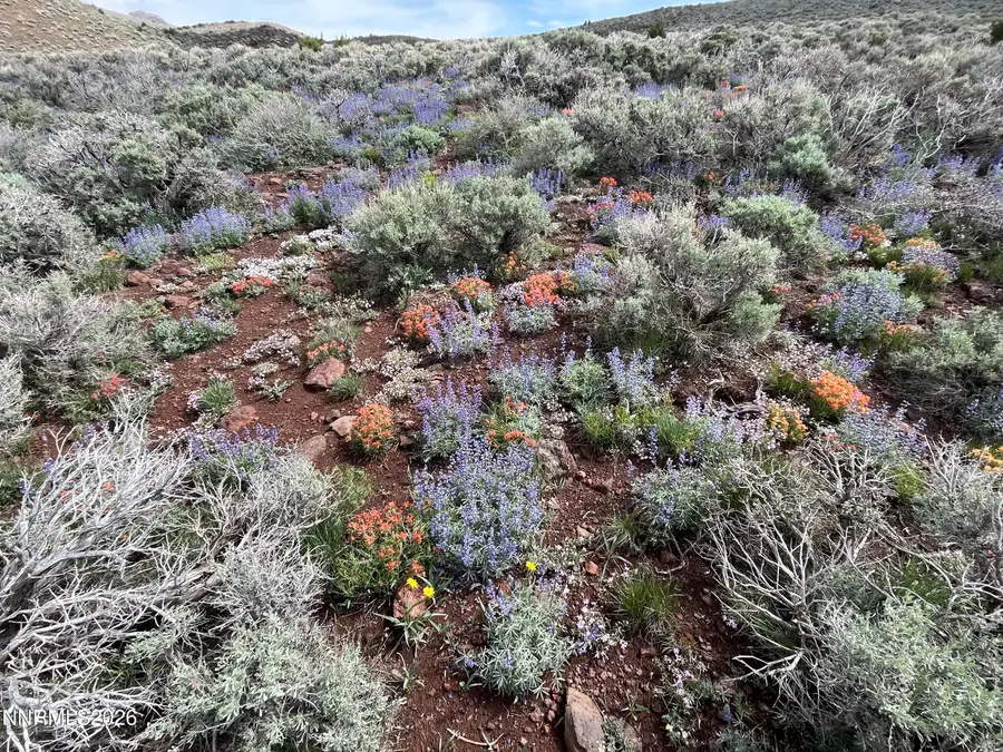 0000 Microwave Road #3, Reno, NV 89510 - Image #3