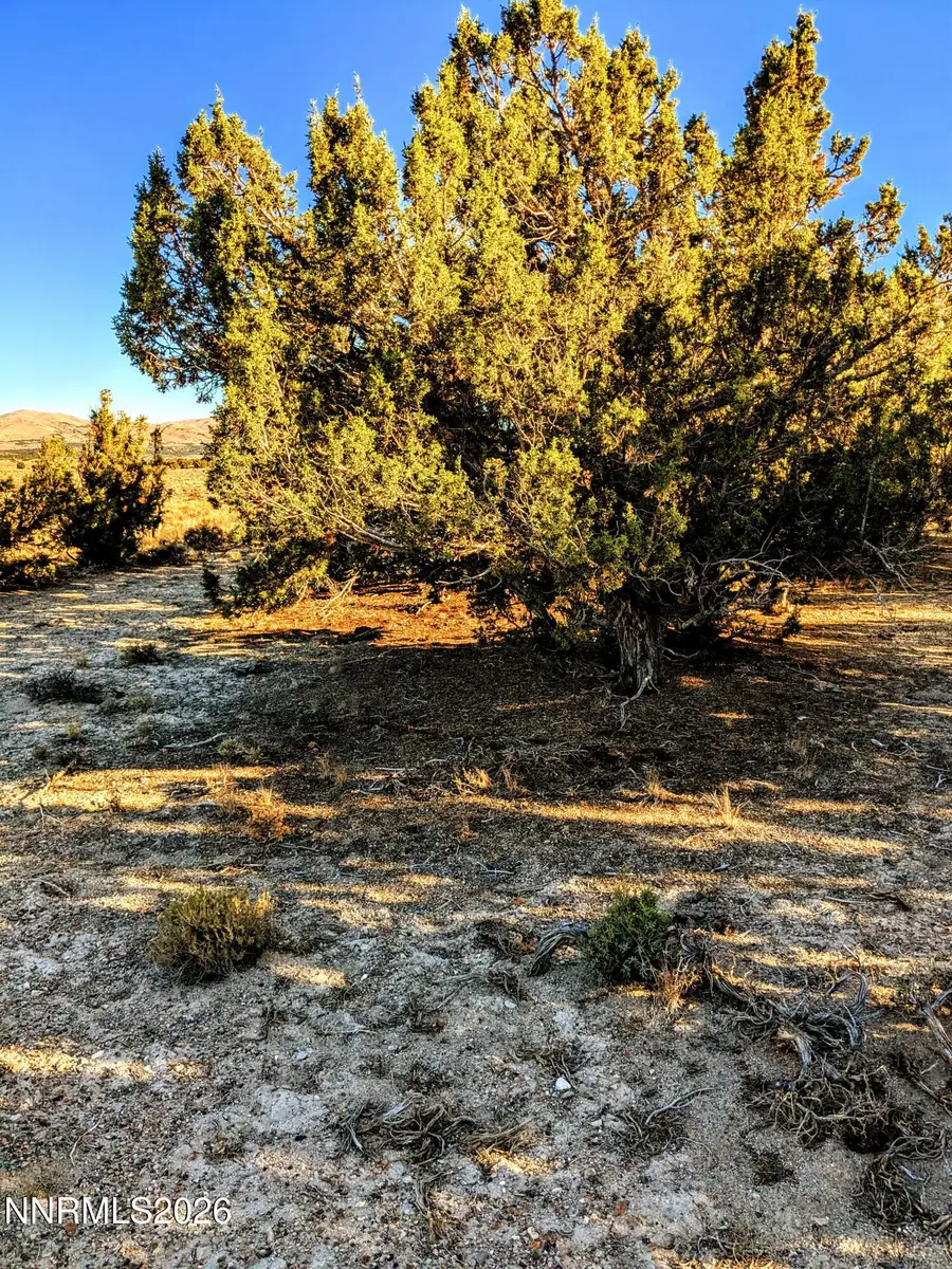 0 Twelvemile Cyn Road, Montello, NV 89830 - #2