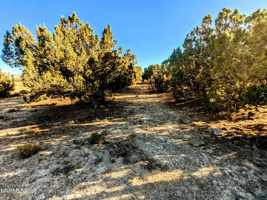 0 Twelvemile Cyn Road, Montello, NV 89830 - #3