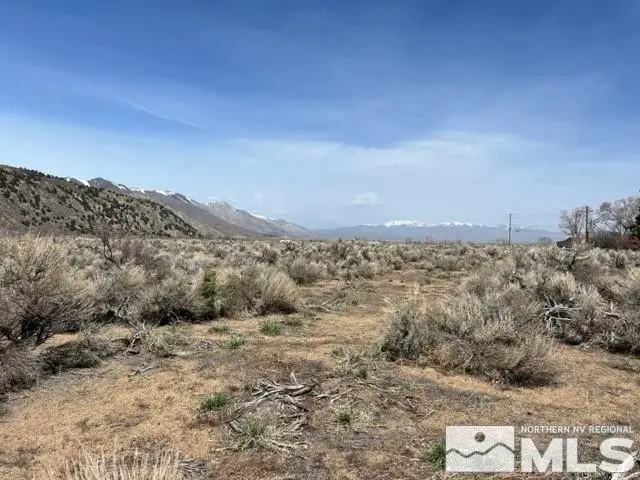 Lot X3 Us Highway 395, Coleville, CA 96107 - #1