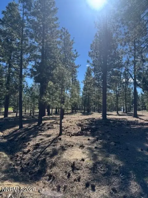 3312 Golf Club Drive #137, Carson City, NV 89705 - #2