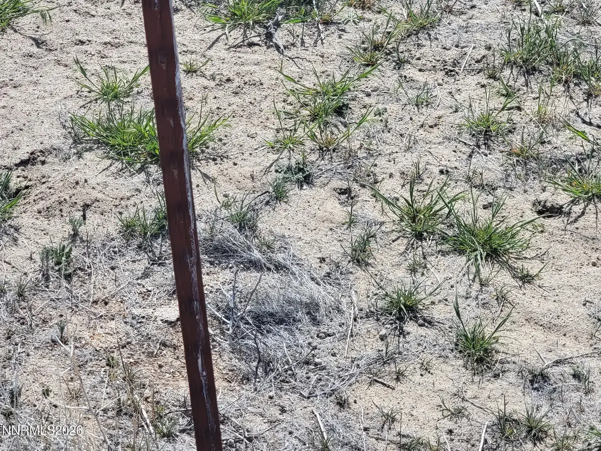 4725 2nd Street, Silver Springs, NV 89429 - #1