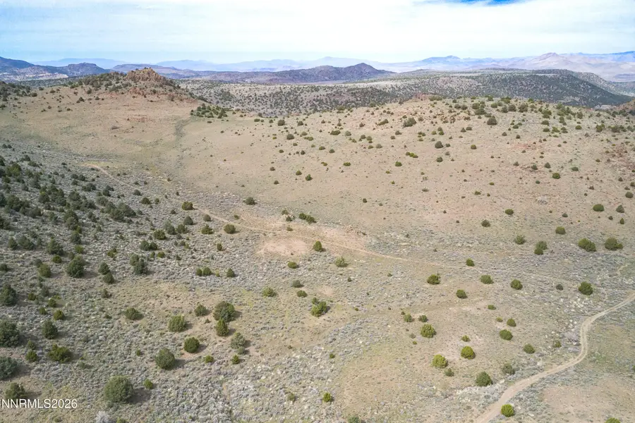 22100 Flowery Road, Reno, NV 89521 - #2