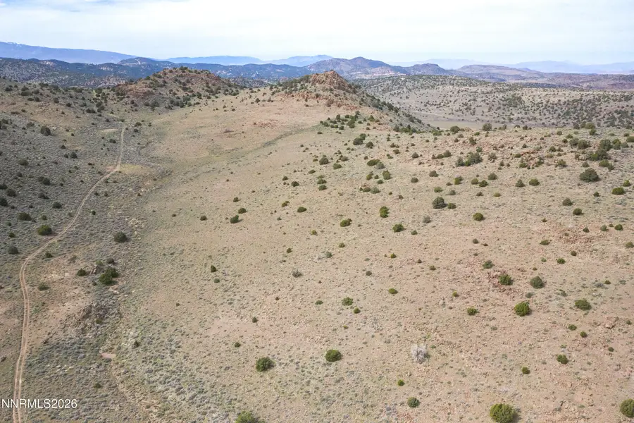 22100 Flowery Road, Reno, NV 89521 - #3