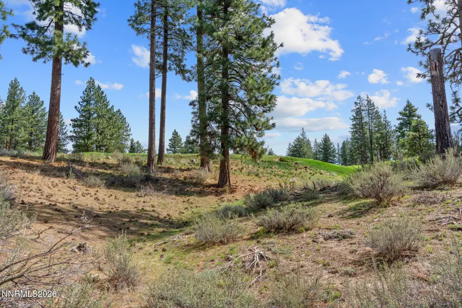 3406 Golf Club Drive, Carson City, NV 89705 - #3