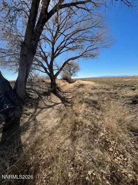 40.23 Acres Workman Road, Fallon, NV 89406 - #3