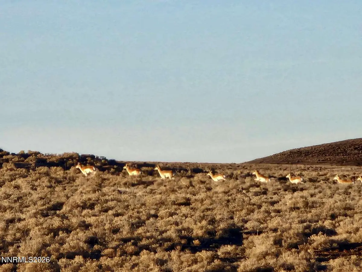 0 Bird Ranch Road, Crescent Valley, NV 89821 - #1