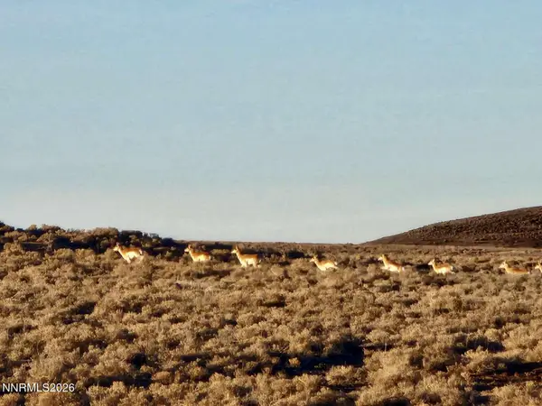 0 Bird Ranch Road, Crescent Valley, NV 89821