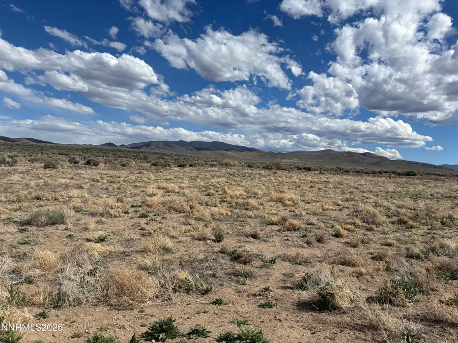 C1 Grant View Drive, Smith, NV 89430 - #2