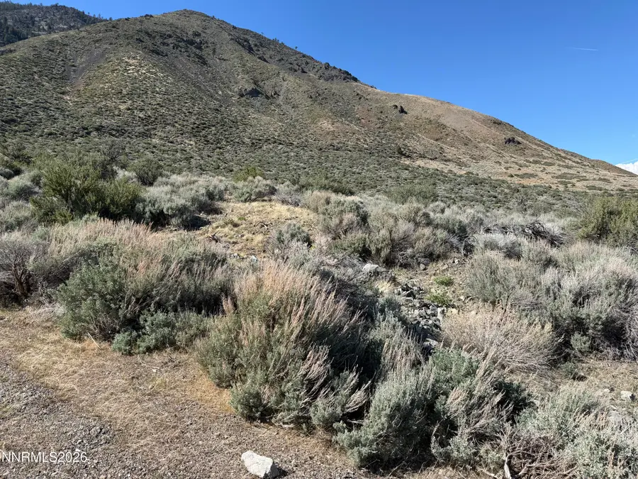 2557 Eagle Ridge Road, Genoa, NV 89411 - #3