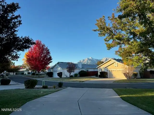 1147 White Oak Loop, Minden, NV 89423 - #2