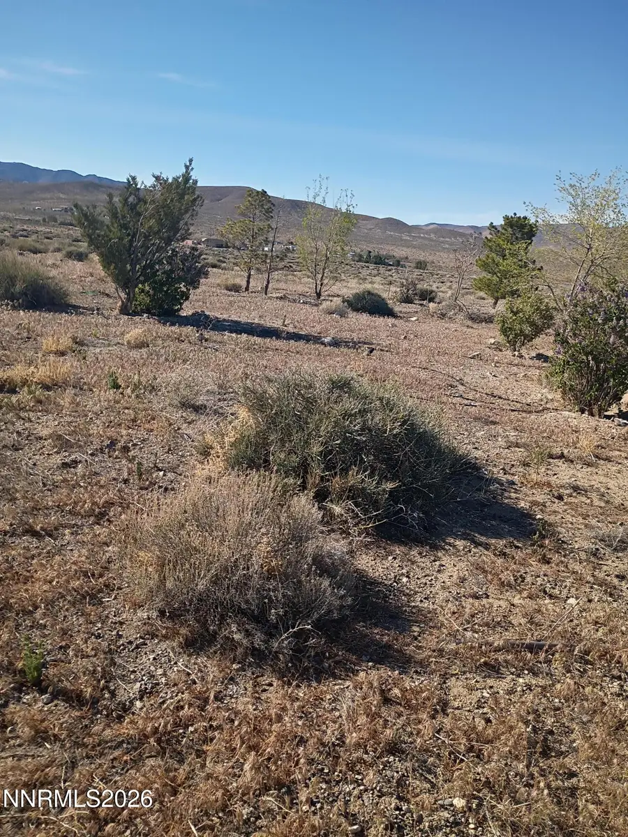 4505 Shirlee Avenue, Silver Springs, NV 89429 - #2