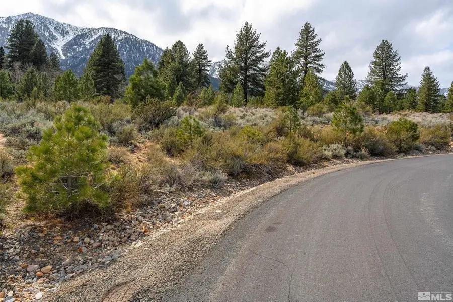 297 Five Creek Road, Gardnerville, NV 89460 - #3