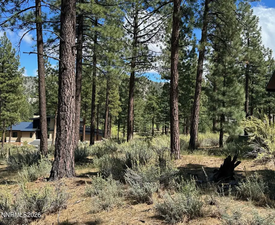 274 Redding Way #235, Carson City, NV 89705 - #2