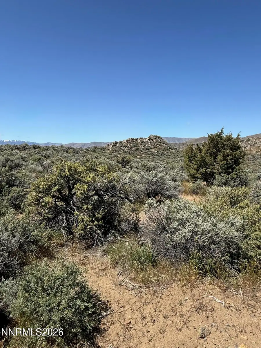 1325 Antelope Valley Road, Reno, NV 89506 - #3