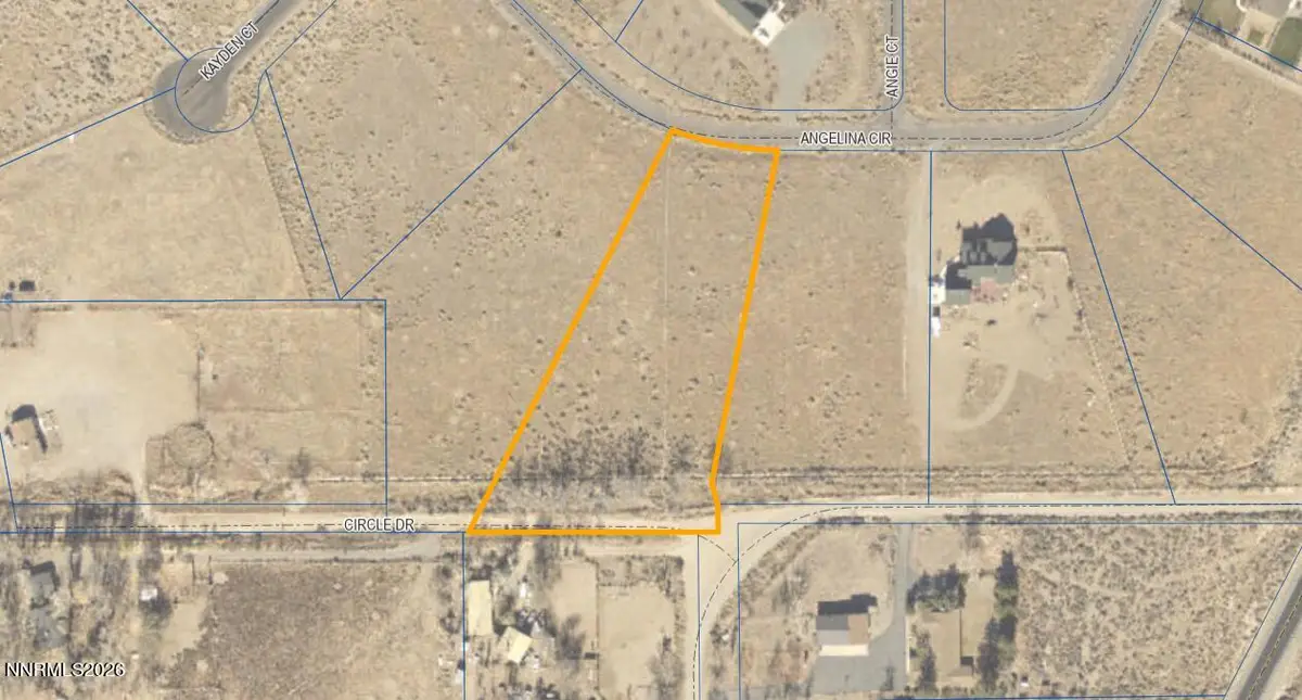 221 Angelina Circle, Smith Valley, NV 89444 - #1