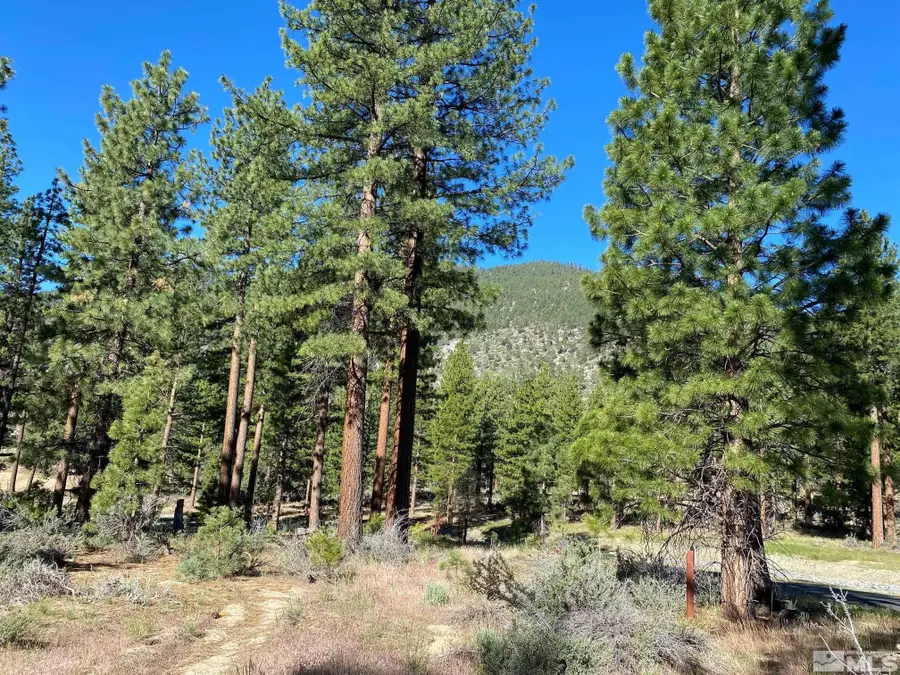 67 Boulders Bend Drive #75, Carson City, NV 89705 - #3