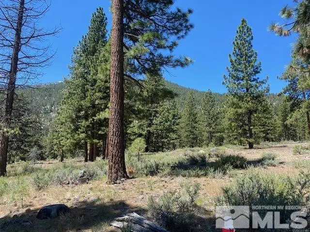 3584 Knob Point Trail, Carson City, NV 89705 - #1