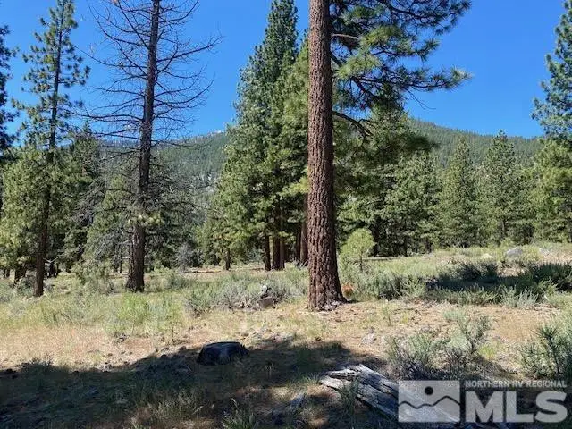3584 Knob Point Trail, Carson City, NV 89705 - #2