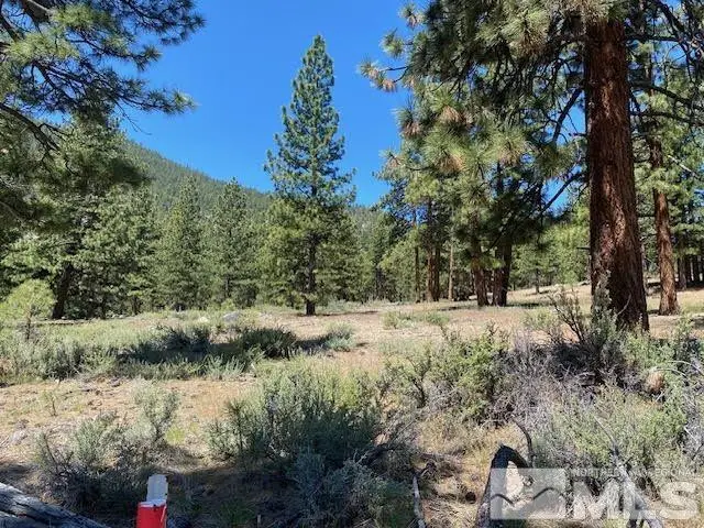 3584 Knob Point Trail, Carson City, NV 89705 - #3