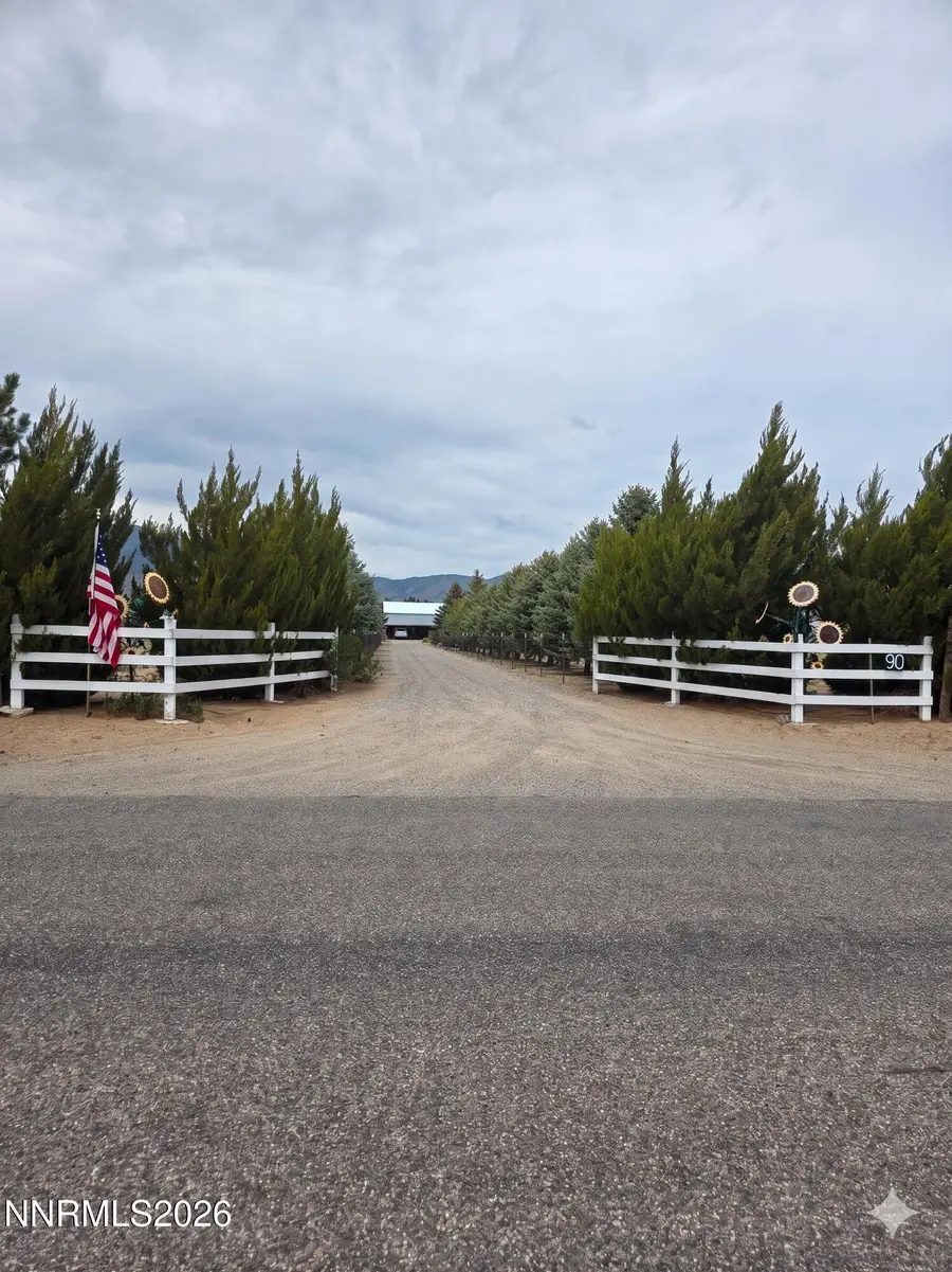 90 Artist View Road, Wellington, NV 89444 - #2