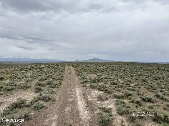 6.6 Pine Street, Elko, NV 89801 - #2