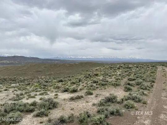 6.6 Pine Street, Elko, NV 89801 - #3