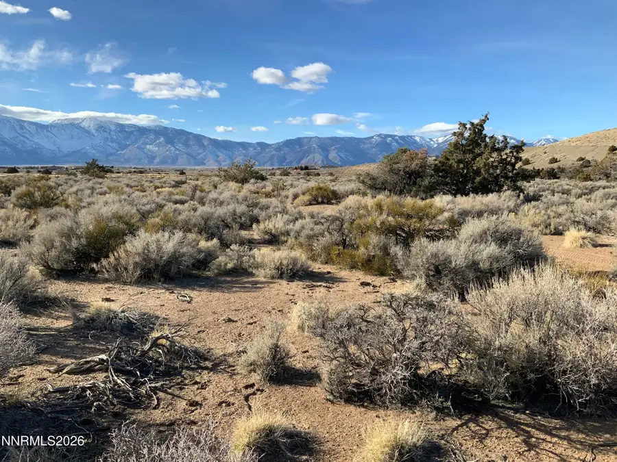 1290 Jo Lane, Gardnerville, NV 89410 - #3