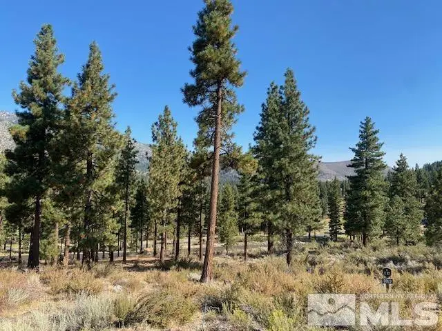 3253 Summit Camp Way #C27, Carson City, NV 89705 - #3