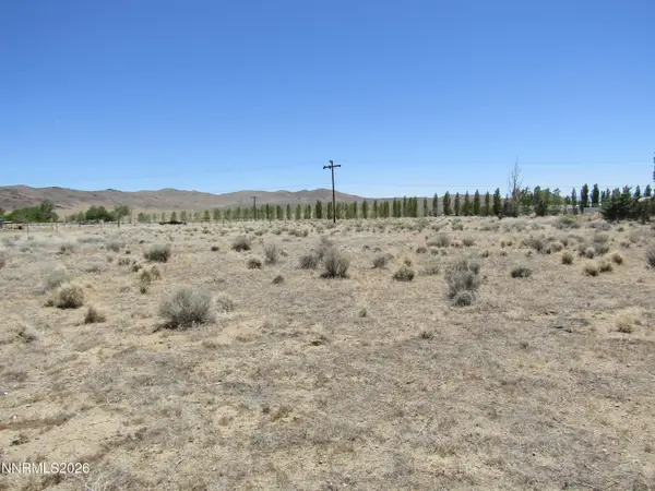 603 Pete Hendrichs Road, Yerington, NV 89447