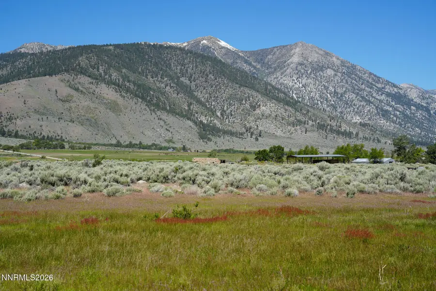 060 Old Chambers Road, Markleeville, CA 96120 - #2