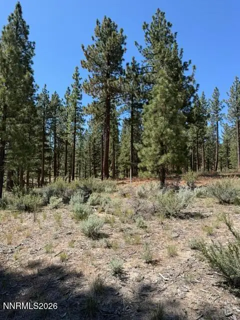 205 Haskell Mill Court, Carson City, NV 89705 - #3