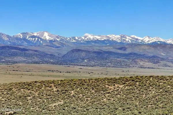 4255 Bosler Way, Wellington, NV 89444