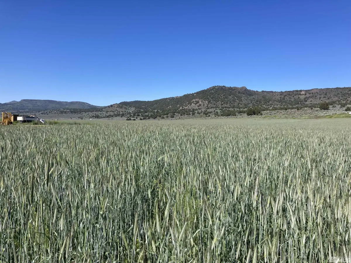 11069 Mosquito Road, Gerlach, NV 89412 - #1