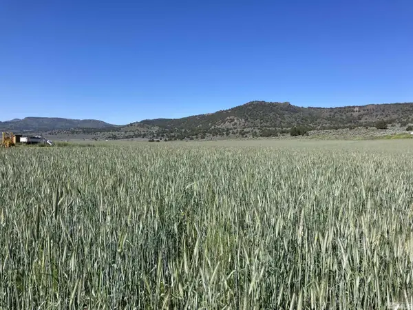 11069 Mosquito Road, Gerlach, NV 89412