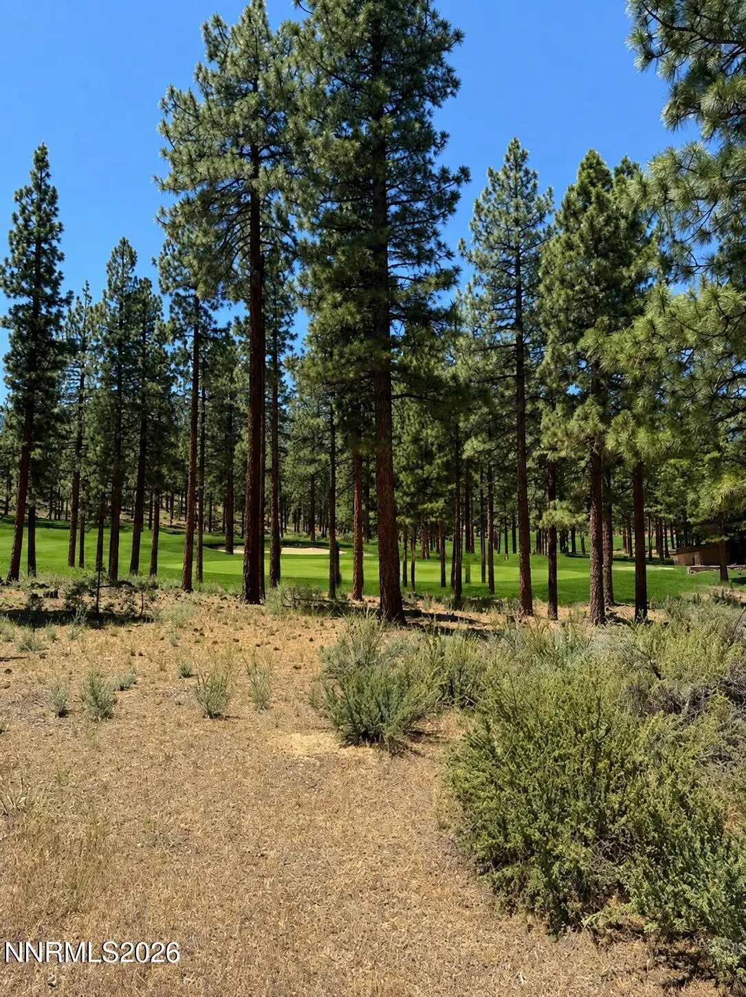 195 Walton Toll Road #210, Carson City, NV 89705 - #1